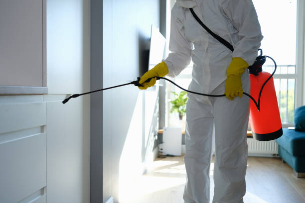 Best Commercial Pest Control  in Rexland Acres, CA